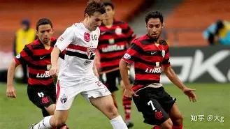 开元棋牌官网-fpx打野milkway